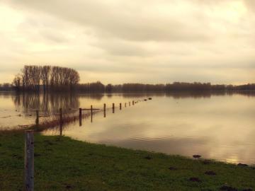 Flooded field 