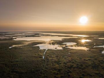 Wetland at sunset