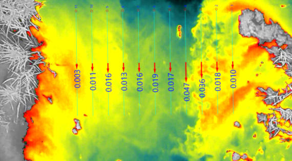 Thermal Imaging In The Chess