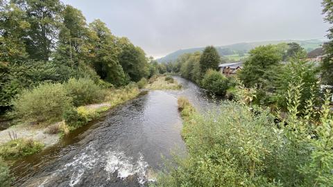 RIver surrounded by trees and hills in the background
