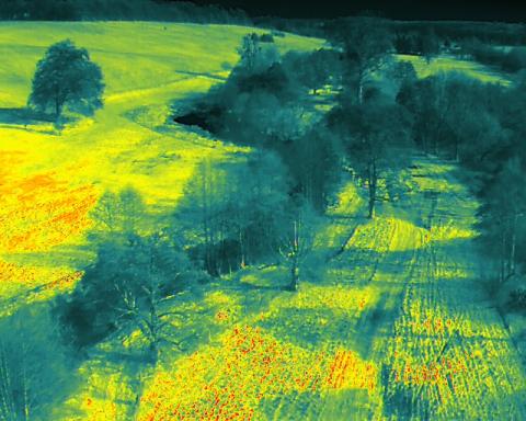 A thermal imaging camera image of a stretch of the river Chess, where green is cooler and red is hotter