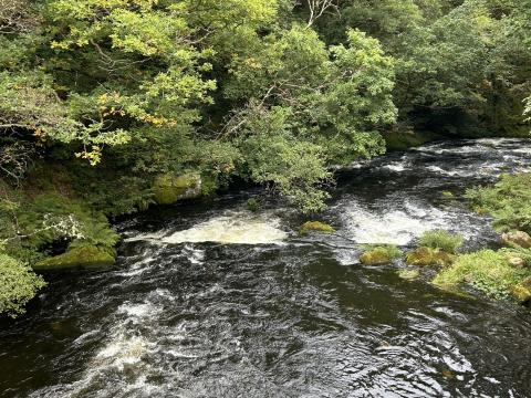 The upper severn river flowing, with foliage surrounding