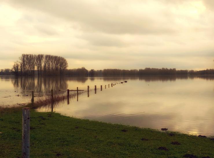 Flooded field 