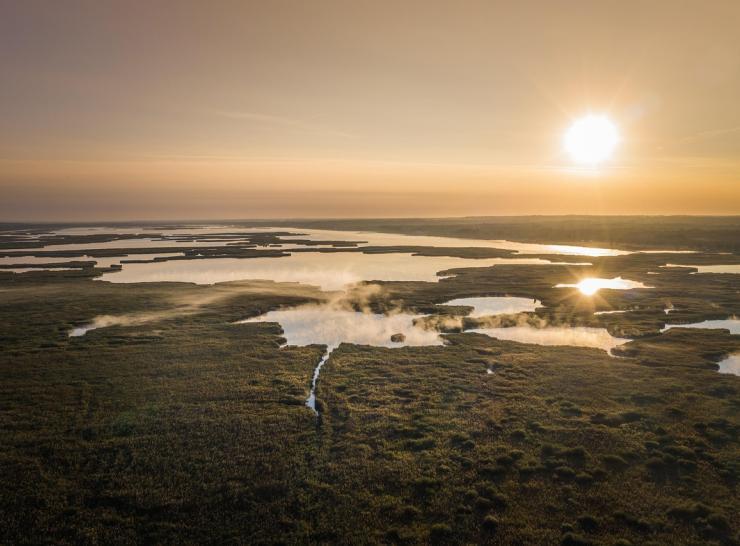 Wetland at sunset